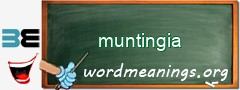 WordMeaning blackboard for muntingia
